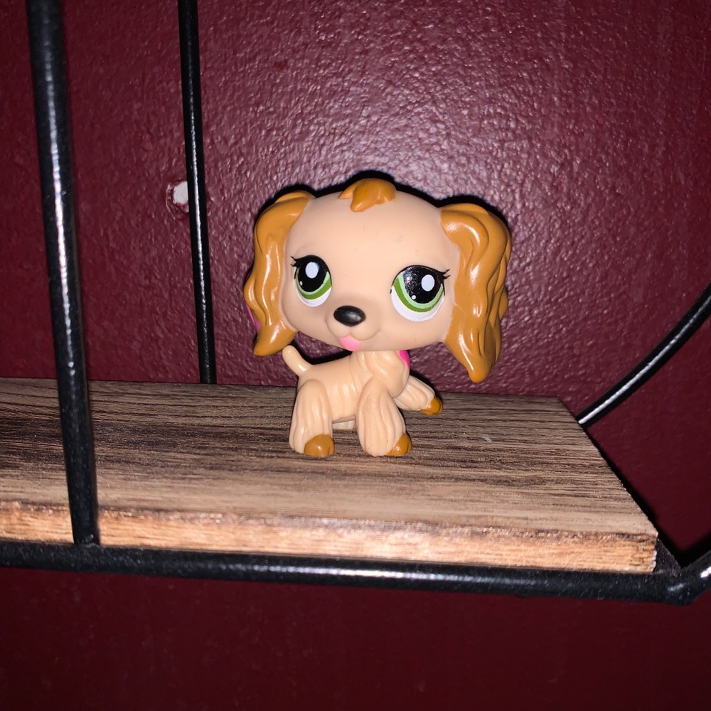 Littlest Pet Shop Collection